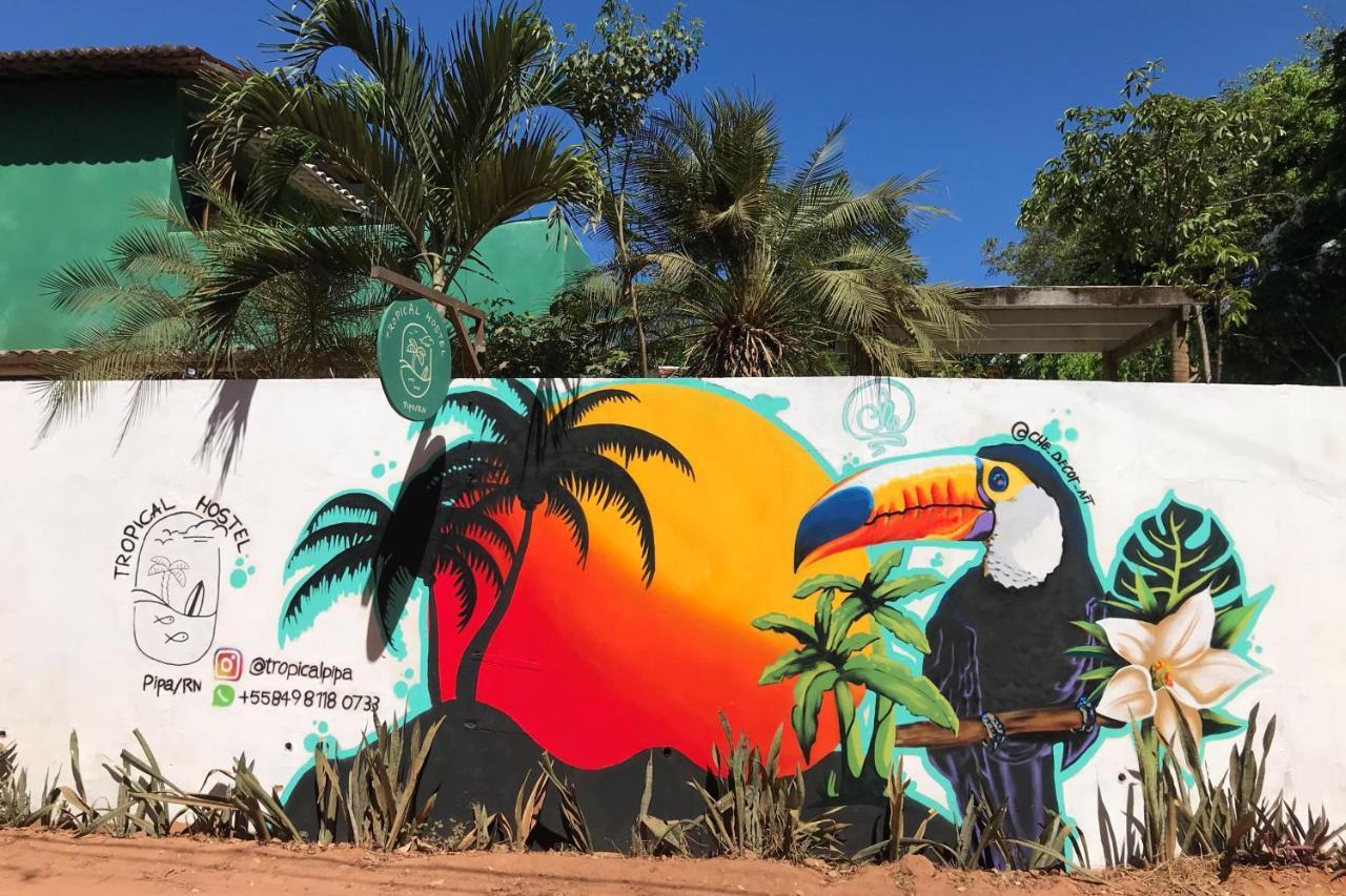 Tropical Hostel Praia de Pipa Zewnętrze zdjęcie